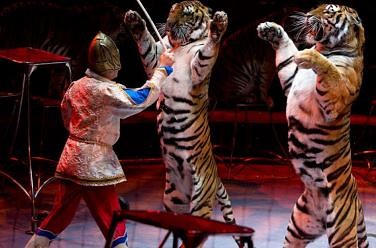 Вещий сон Вещий сон