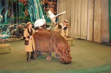 Елка в музее уголка дедушки Дурова Елка в музее уголка дедушки Дурова