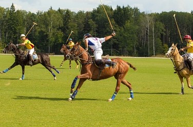 Federation Cup   
