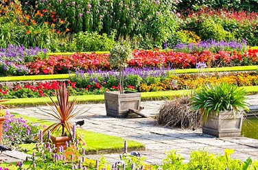 Moscow Flower Show
