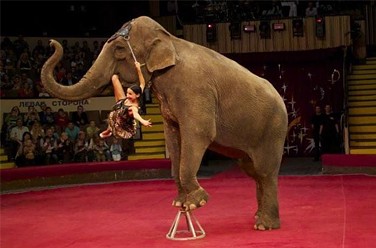 ���������� ������ � ����� �������� ������