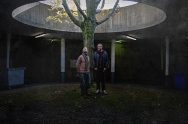 Carbon Based Lifeforms