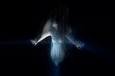  . Sleeping Beauty Dreams