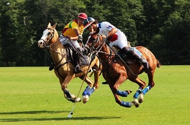 Federation Cup   