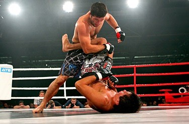 Fight Nights