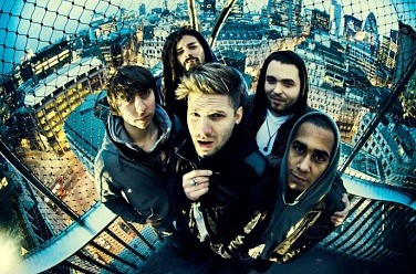 The Qemists