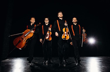 Artnovi band
