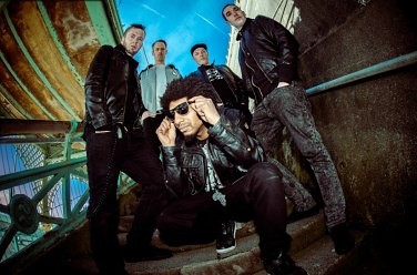 The Qemists