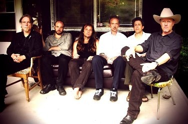 Swans