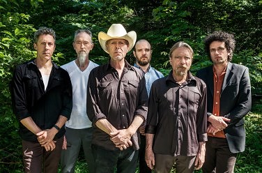 Swans
