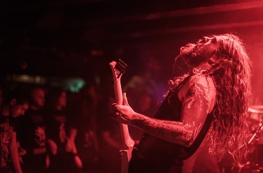 Wolves in the Throne Room