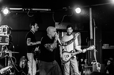 Gorilla Biscuits