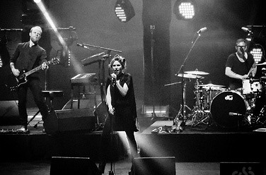 The Cardigans