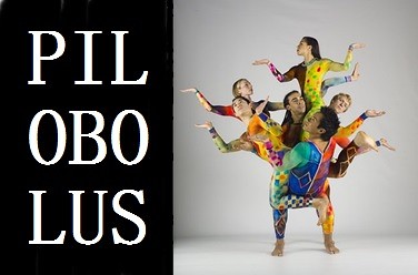   "Pilobolus" / ""