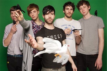Foals