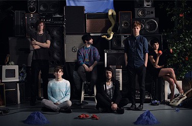 Foals