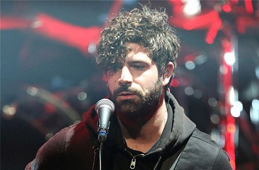 Foals
