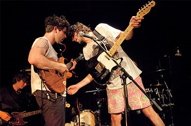 Foals