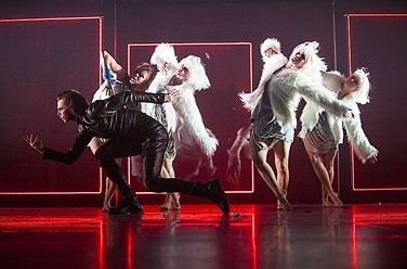 Swan lake. Reloaded.  . 