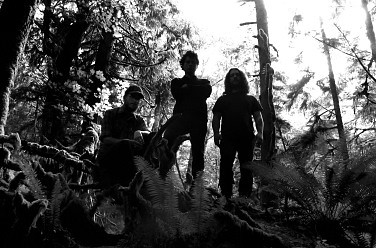 Wolves in the Throne Room