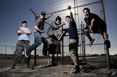 Zebrahead